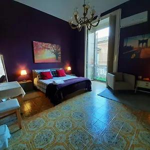 Bed & Breakfast Dream 117, CTA